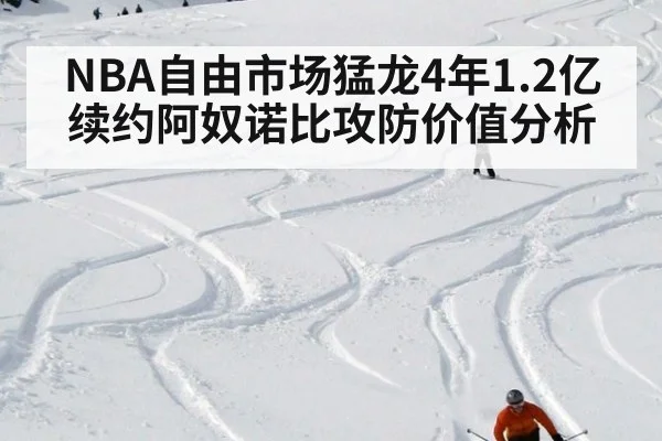 NBA自由市场猛龙4年1.2亿续约阿奴诺比攻防价值分析